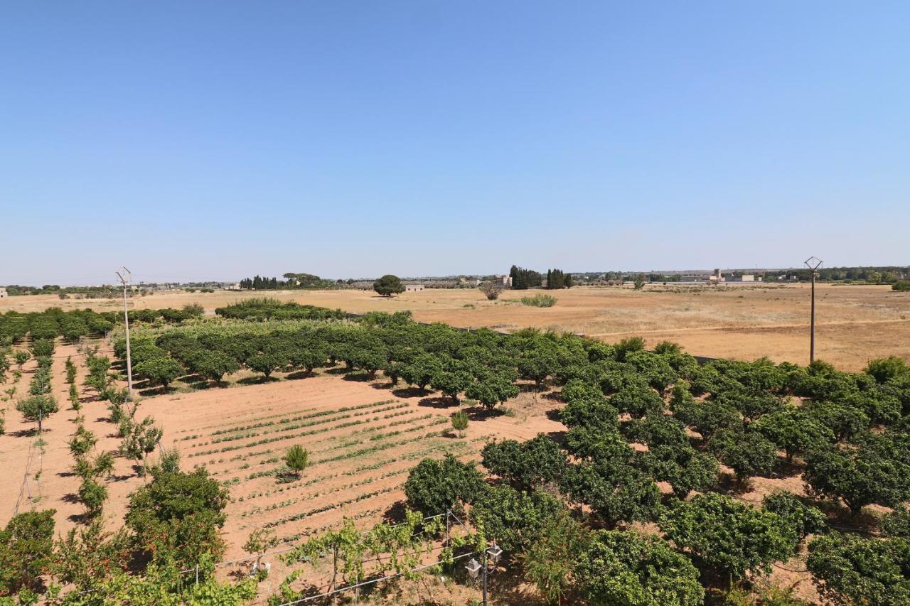 Tenuta Degli Agrumi Carmiano (Apulia) Exterior foto